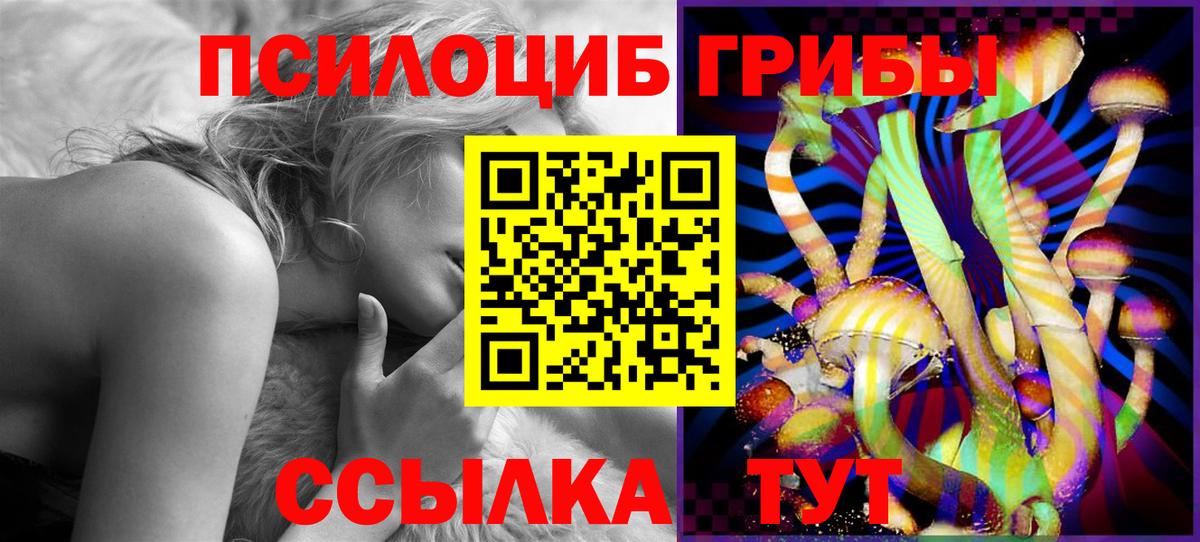 Чистополь  Галлюциногенные грибы Cubensis  Вход с VPN 